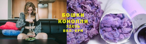 трава Беломорск
