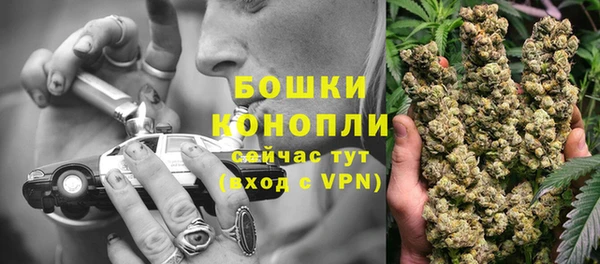 дурь Богданович